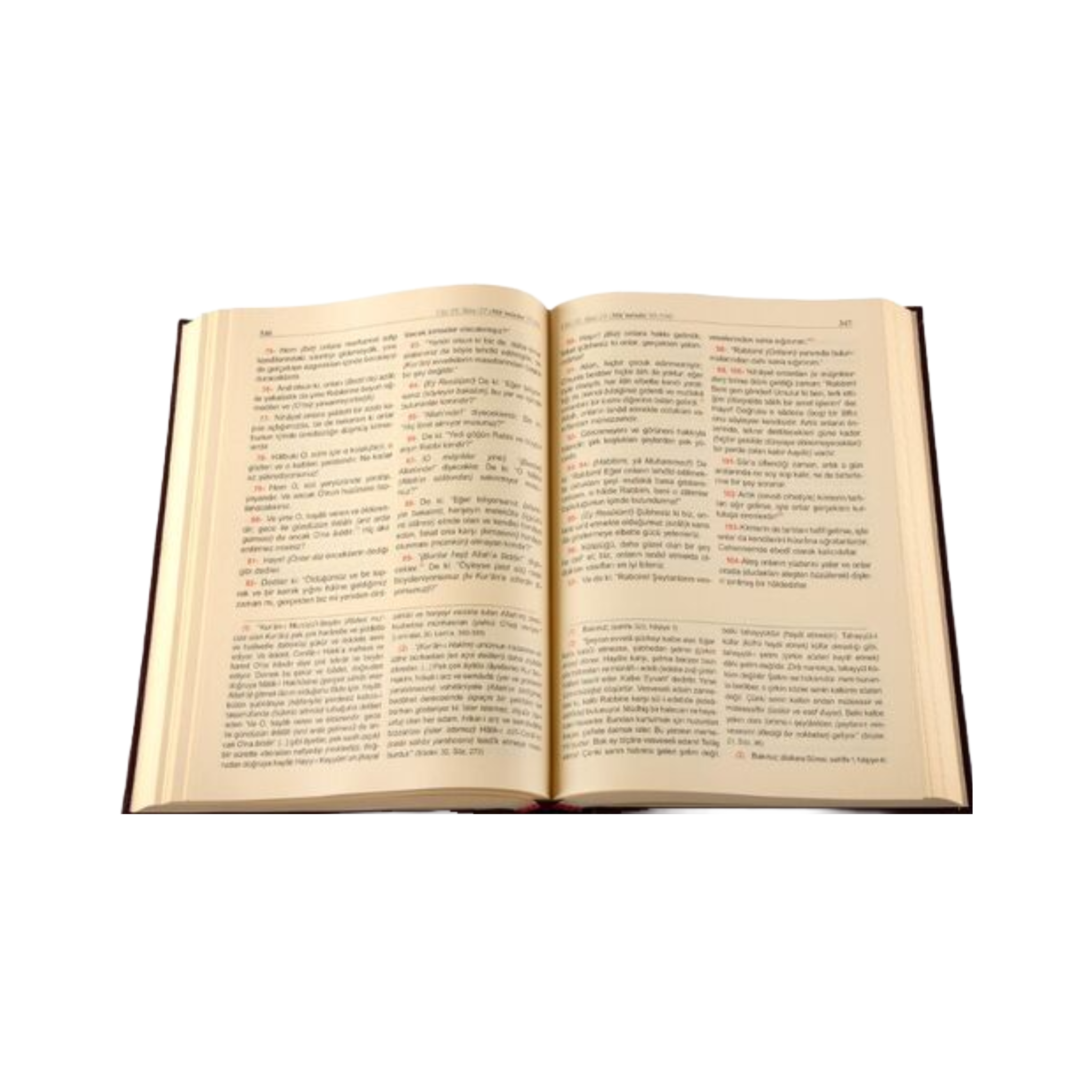 Kuran Meal auf Türkisch innendrinne