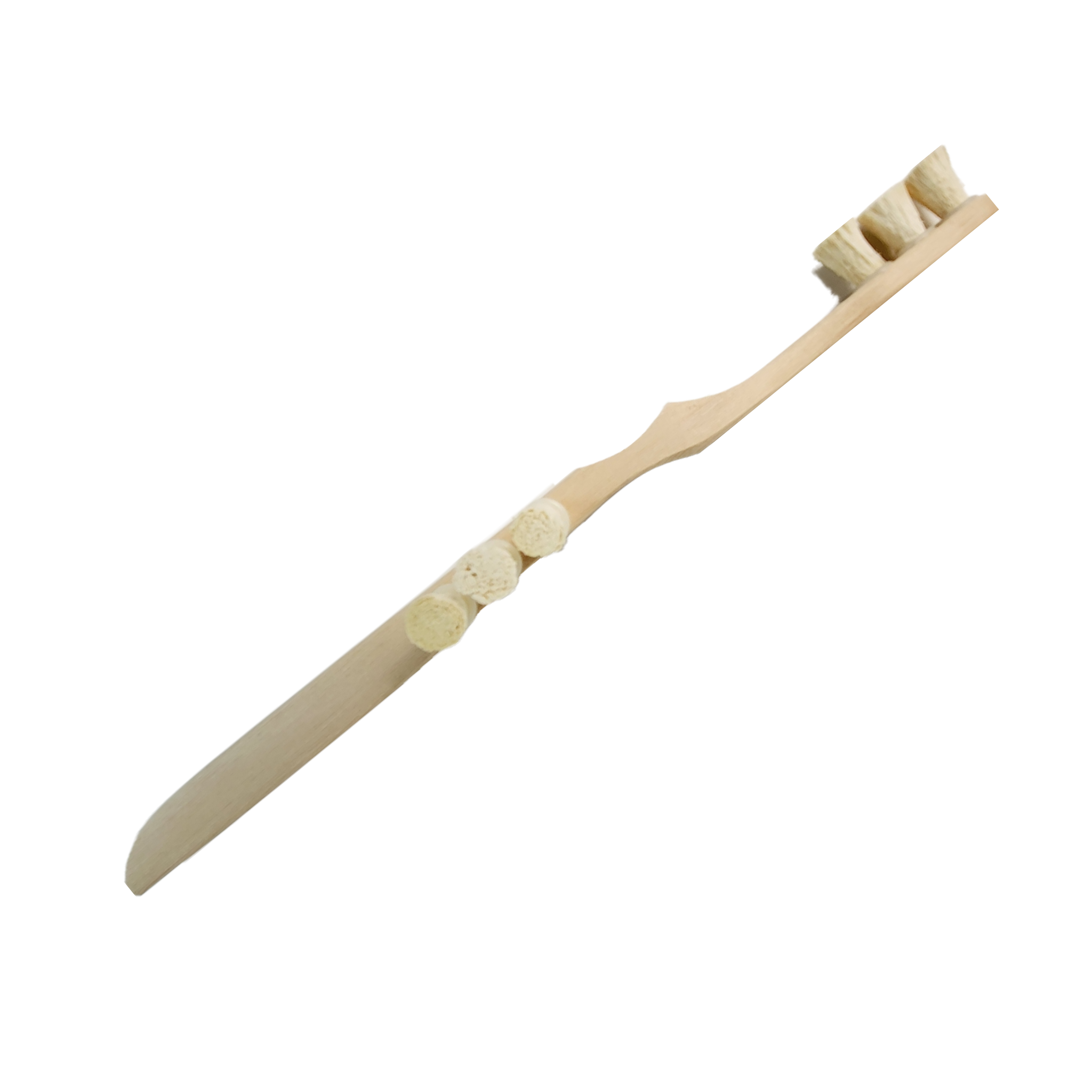 Miswak Organik Zahnbürste & Organik Zahnpulver Set ASR Store